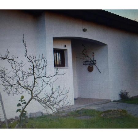 Appartamento In Villa Con Giardino A 300M Dal Lago Maggiore Кастеллетто-сопра-Тичино Экстерьер фото